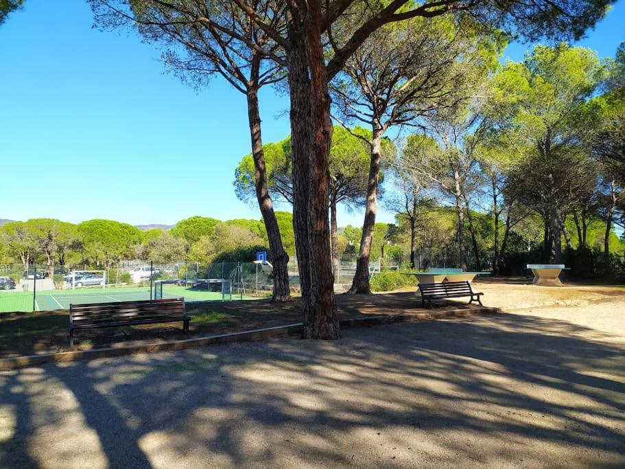 Ideal Saint Raphael Piscine Clim Parking Daire Dış mekan fotoğraf